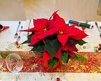 Adventkulinarium 3A 2024-06