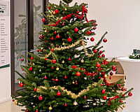 Adventkulinarium 3A 2024-10