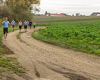 ImWaldundaufderHeide-79